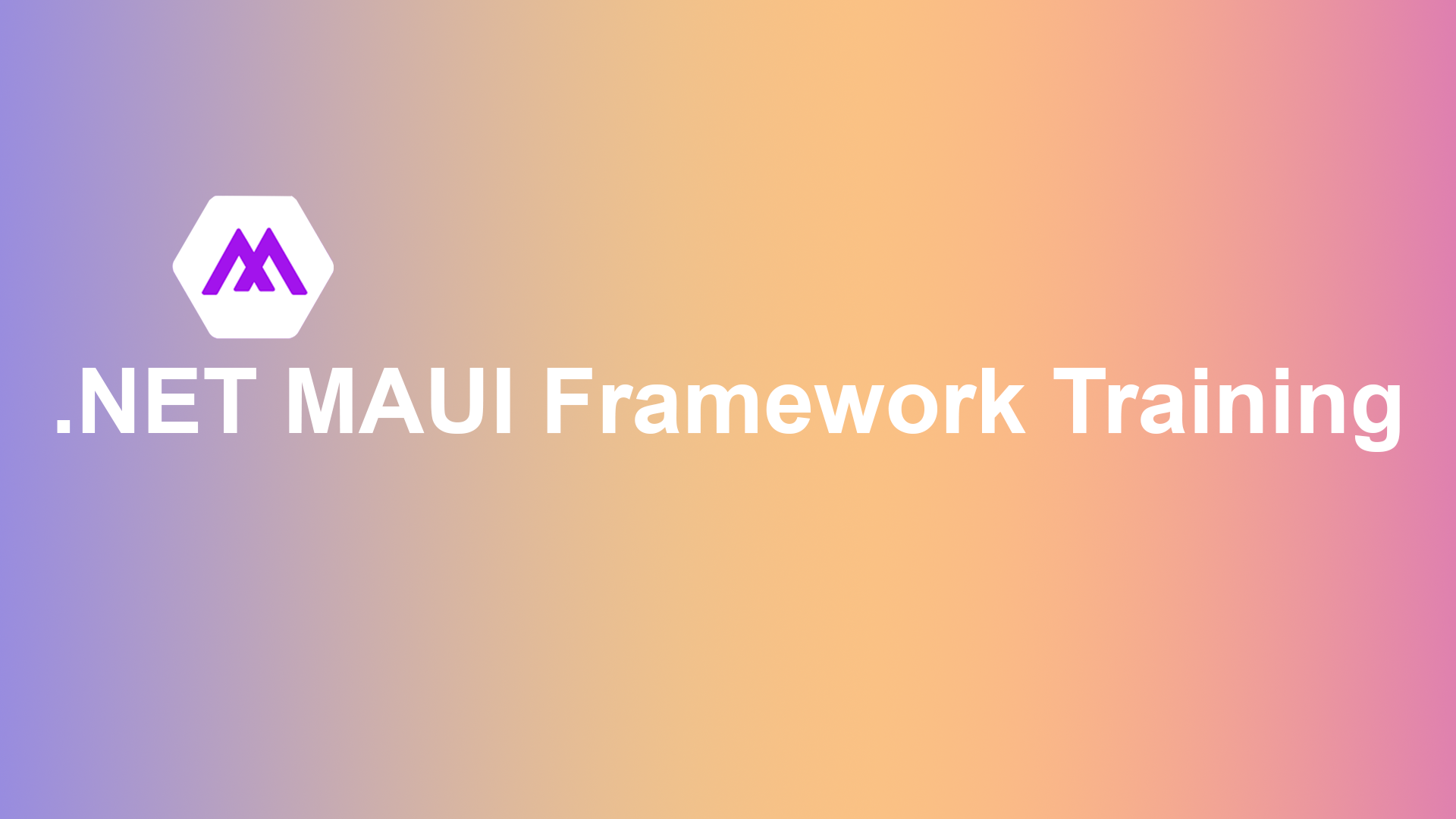 NET MAUI Framework Training